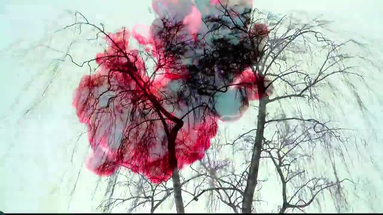 Shane Allen Dunn-The Death Shroud (Horror, Dark Ambient Music Video)