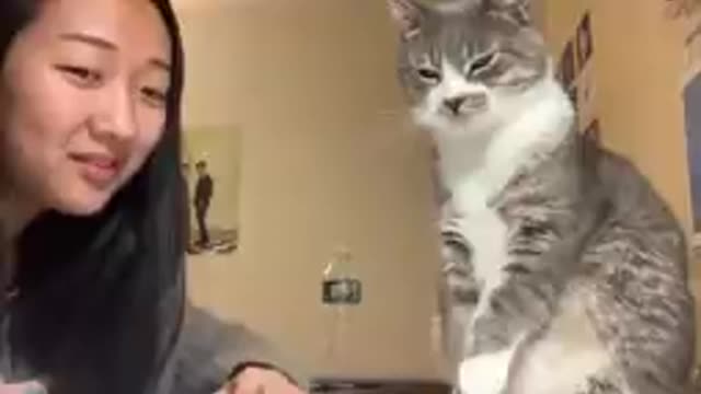 Girl's cat smacks her in the face