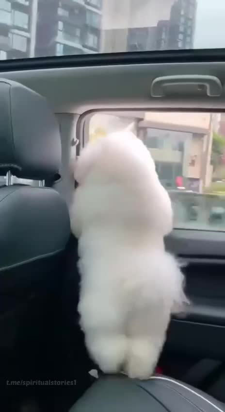 Good morning! Let’s get dancing to the beat! 😍😂