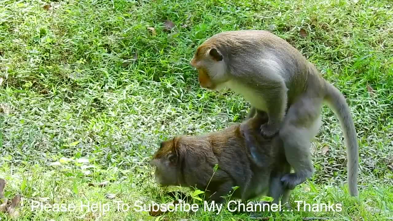 E11Jane Feels So Good In Paradise.