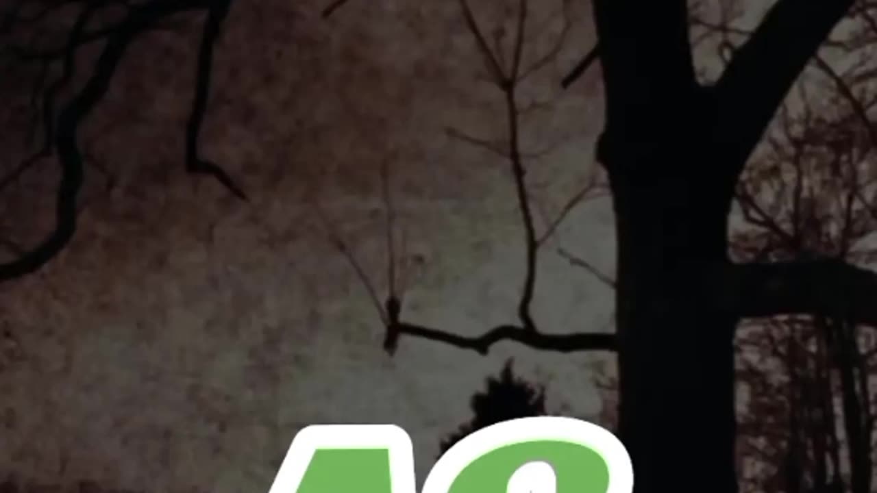 November 23, 2023