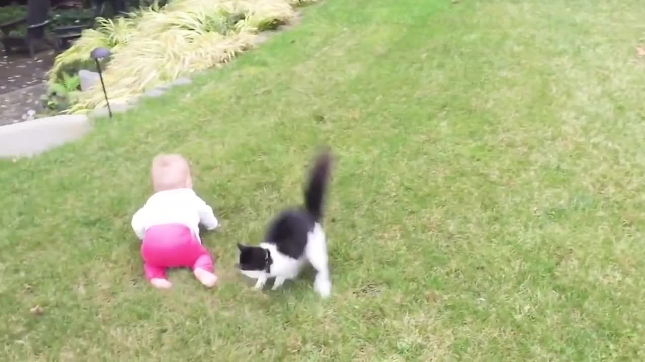 Very funny baby and cat videos compilation - 😂😼 You will die of laughter (new2022)