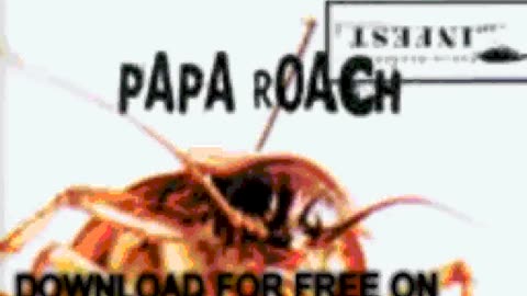 papa roach - Dead Cell (Live) - Infest Bonus Track