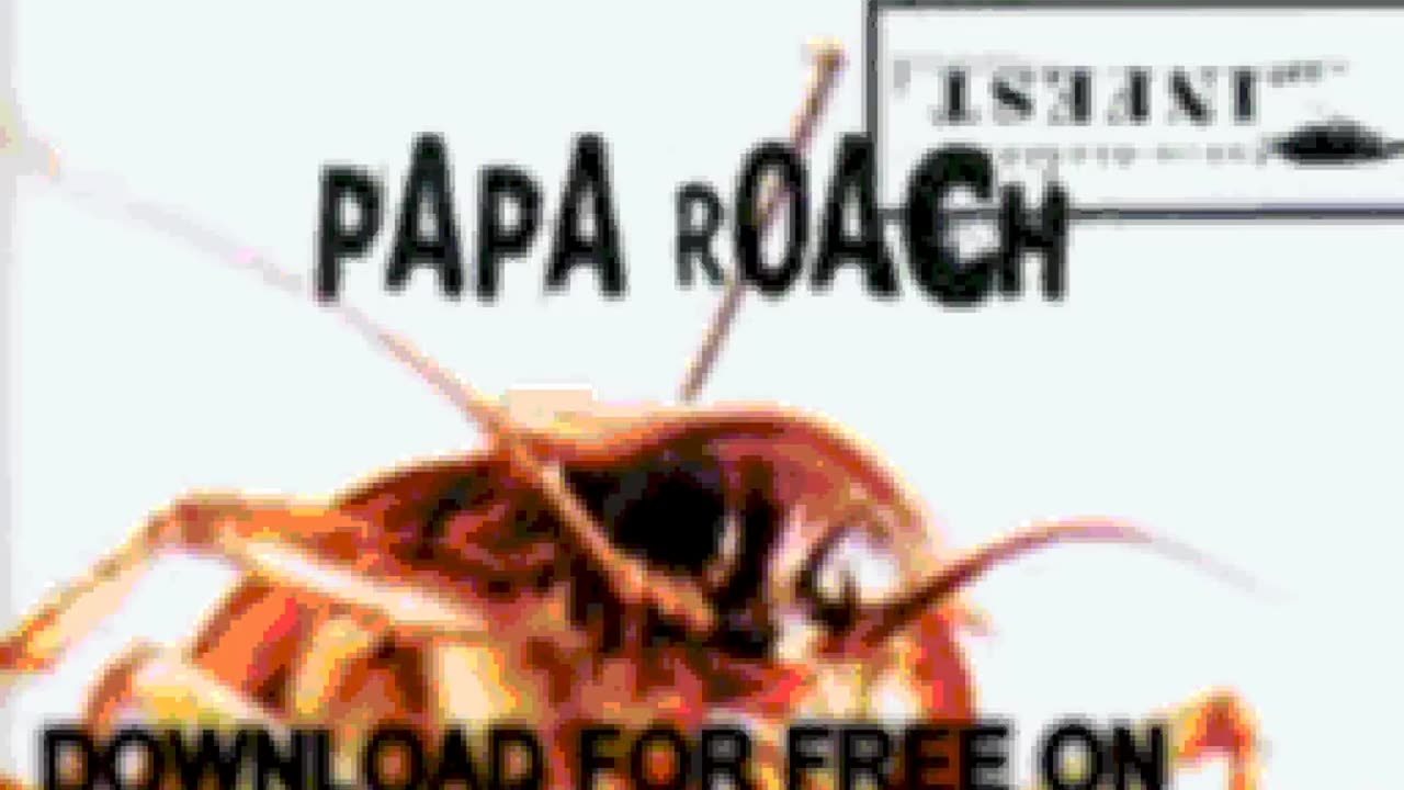 papa roach - Dead Cell (Live) - Infest Bonus Track