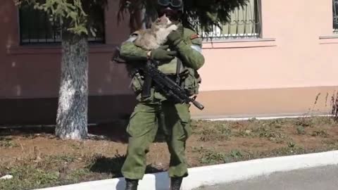 Russian soldier taken prisoner by cat