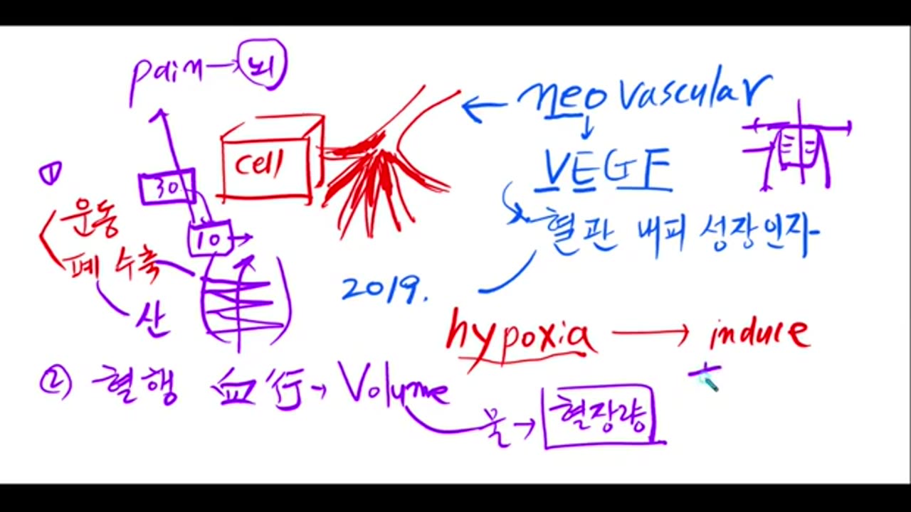 난소암 1-2강, 폐 간복수환자의 치료, 반룡인수한의원, 강남구청역, 한태영원장님, 사상의학