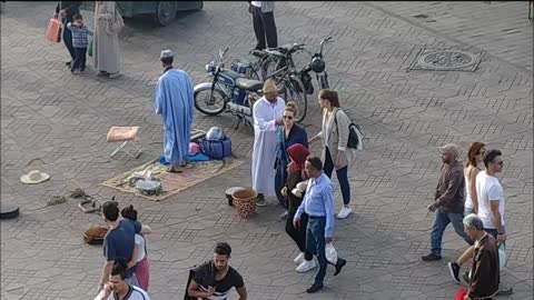 Snake Charmers of Marrakech