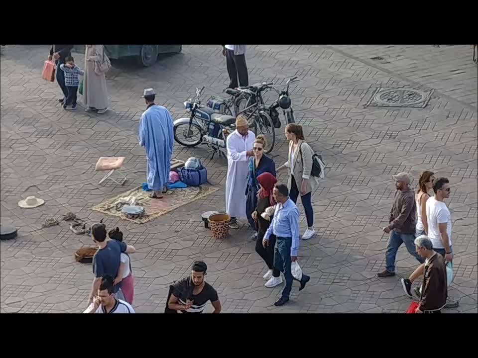 Snake Charmers of Marrakech