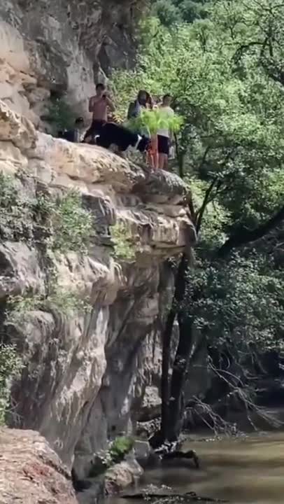 FUNNY ANIMALS VIDEOS