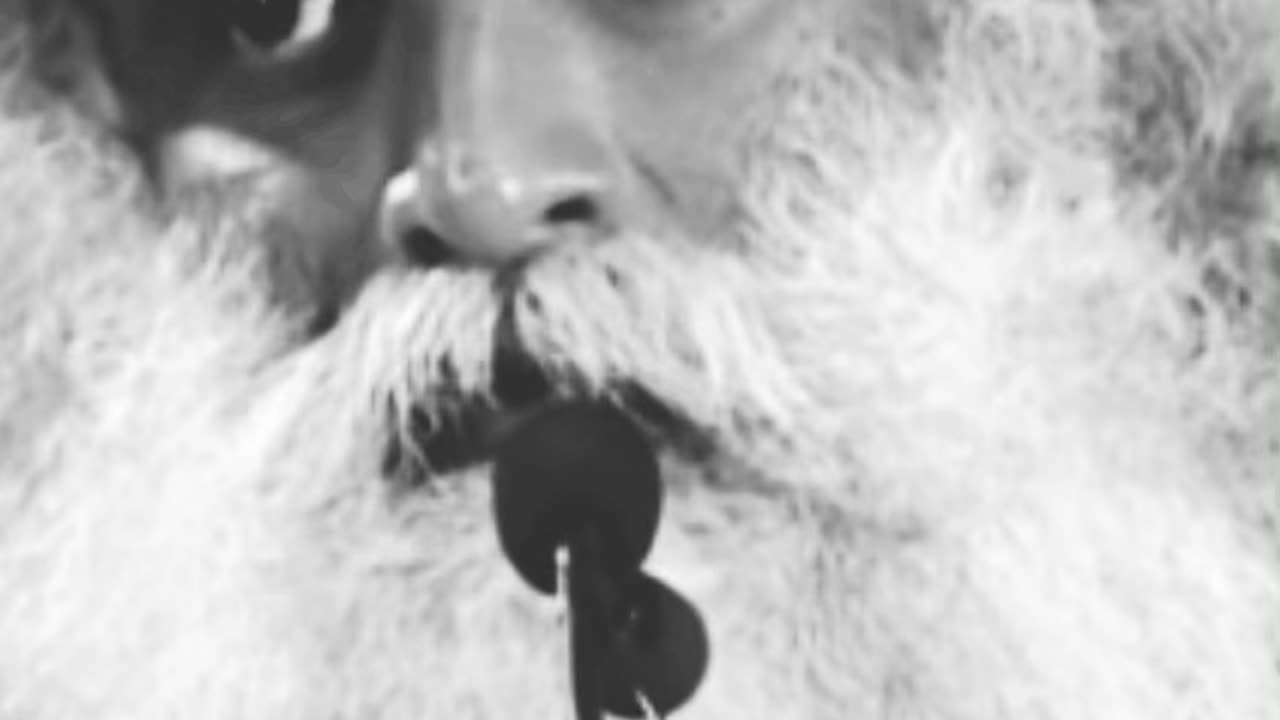 REALITY of being a parent | Sadhguru 🎙️