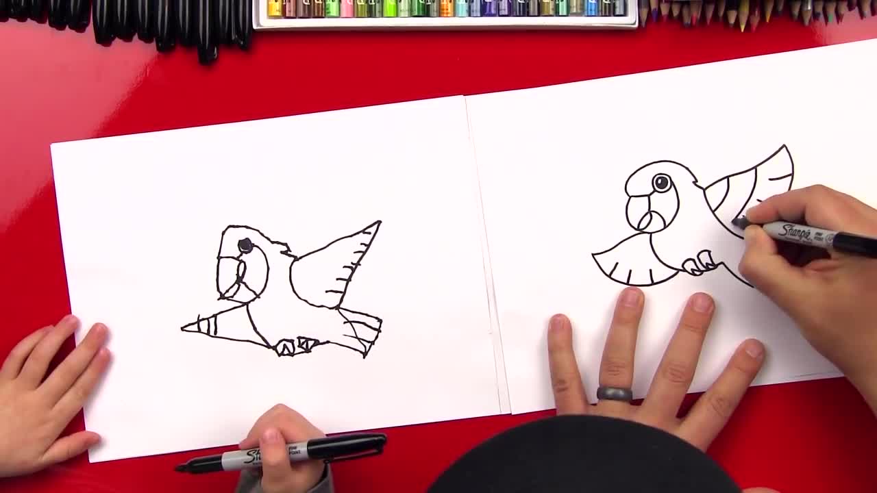 HowToDrawACartoonParrotp12
