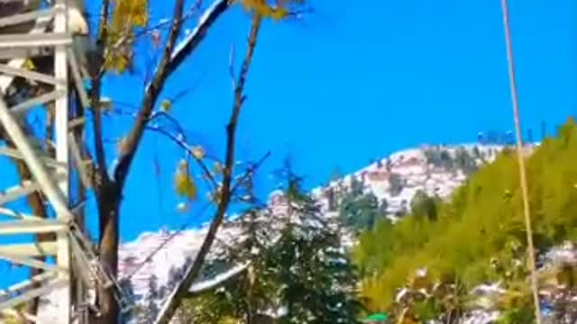Nature video