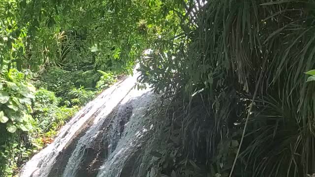 Beautiful Waterfalls In Jamaica 🇯🇲 Nature At It's Best