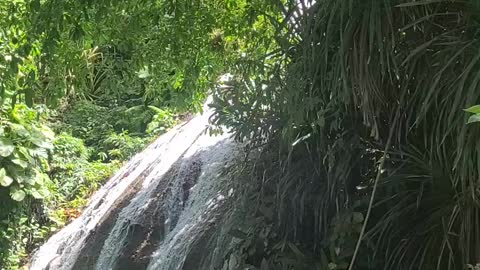 Beautiful Waterfalls In Jamaica 🇯🇲 Nature At It's Best