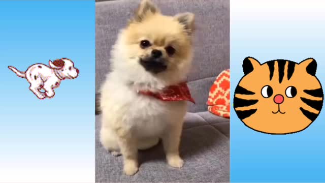 Animals SOS Cute! Cute baby animals Videos Compilation of animals