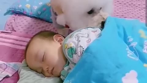 Cat caring baby