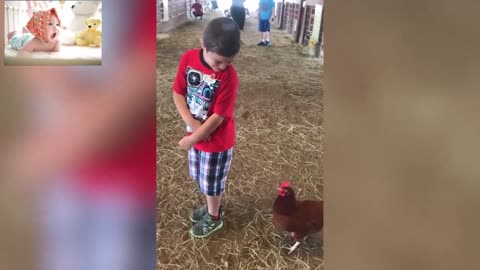 Funny Chickens Chasing Troll Babies and Kids AND KIDS AND ANIMALS