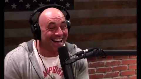Joe Rogan Laughs at fighter's Host Boy Friend being Knocked Out and he Snaps