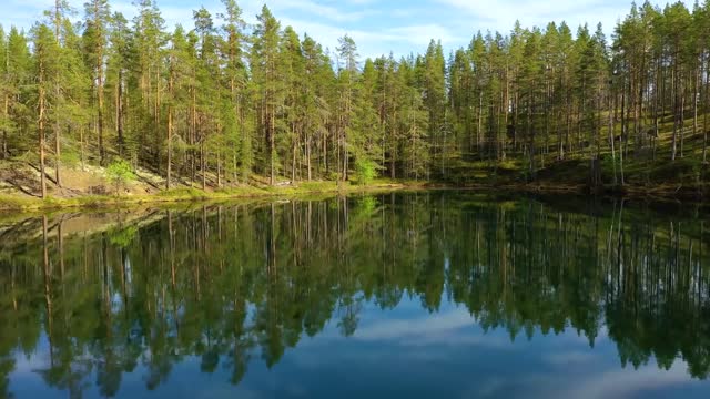 aerial view of the lake and forest in finland beautiful nature of finland