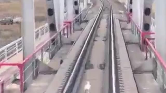 Viral video of a rabbit running on a railway track