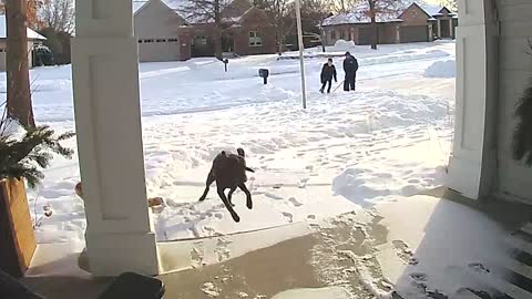 Who Wins in Snowy Matchup