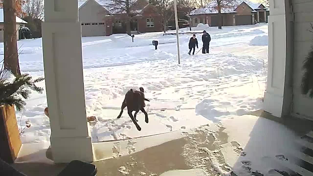 Who Wins in Snowy Matchup