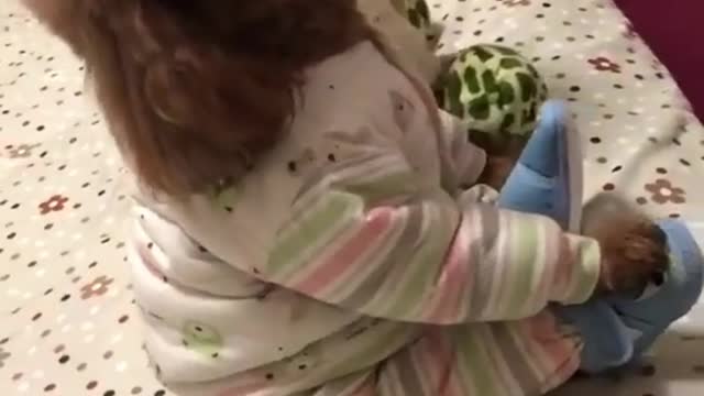 Cute little dogs very funny video.#cute dog#shorts .how the dogs are watching TV.