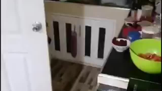 VAXXED COOKING TEACHER