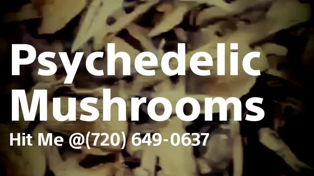 Psychedelic Mushrooms