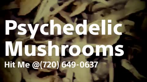 Psychedelic Mushrooms