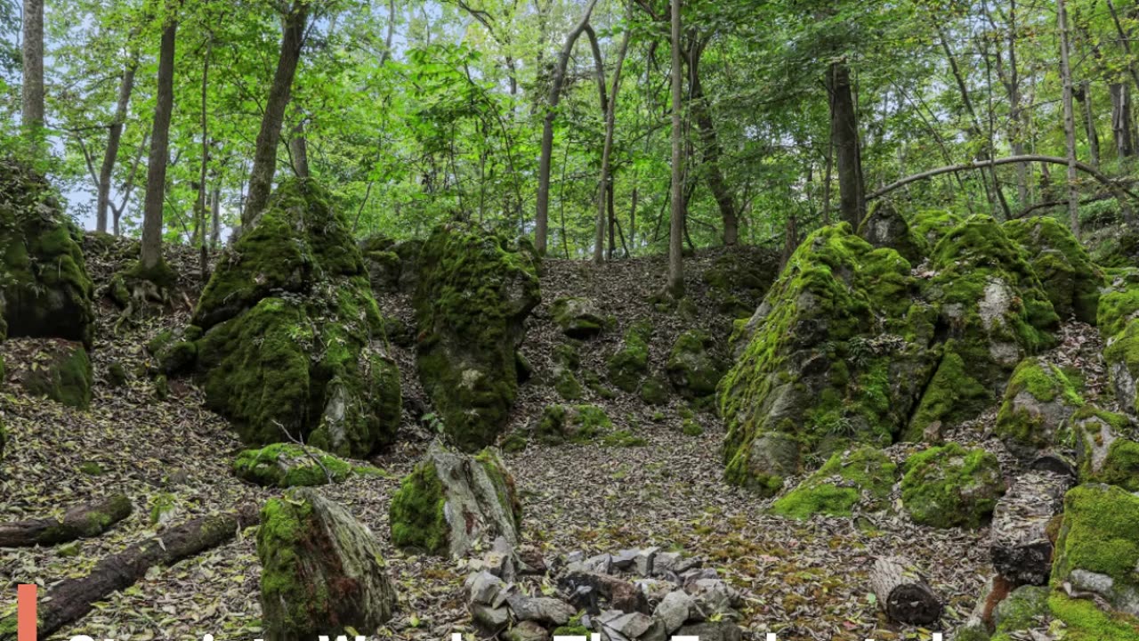 Camping and Glamping Clear Spring Maryland 3-Cabin Campground