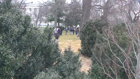 7196USCG00EastfrontSenateEggE_2021-01-06_12h55min18s320ms.mp4