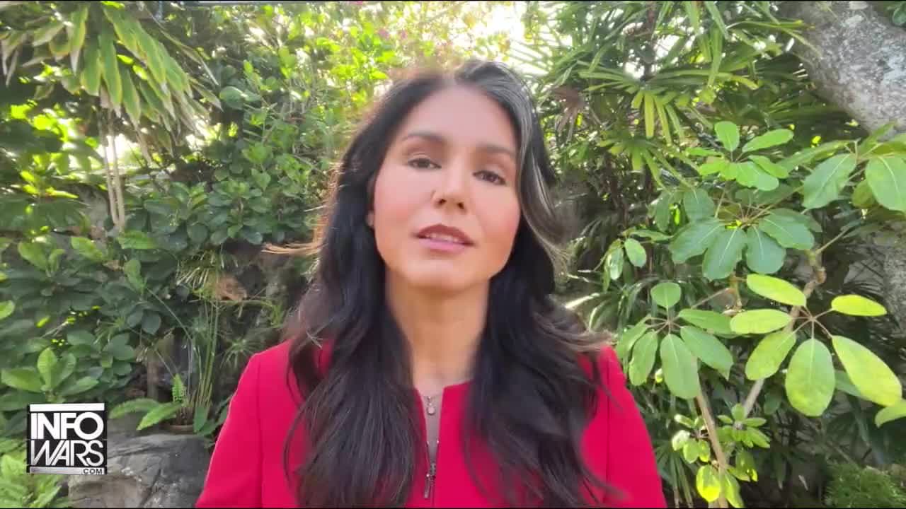 Tulsi Gabbard Attacked For Telling The Truth About U.S. Biolabs In Ukraine