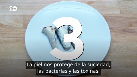 Top 3 de alimentos para tener una piel sana [Video]