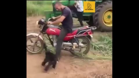 FUNNIEST MONKEYS - Cute And Funny Monkey Videos Compilation 2021- pets bonding