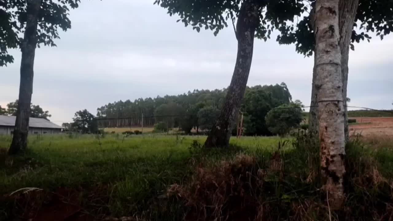 Cuiabá ao Chuí RS a pé. EP. 10- Linha Chapadão SC