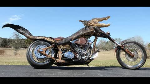 Bike in Animals shape