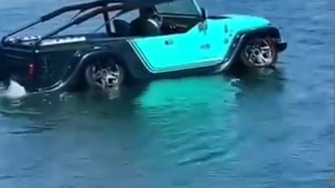 Swimming car