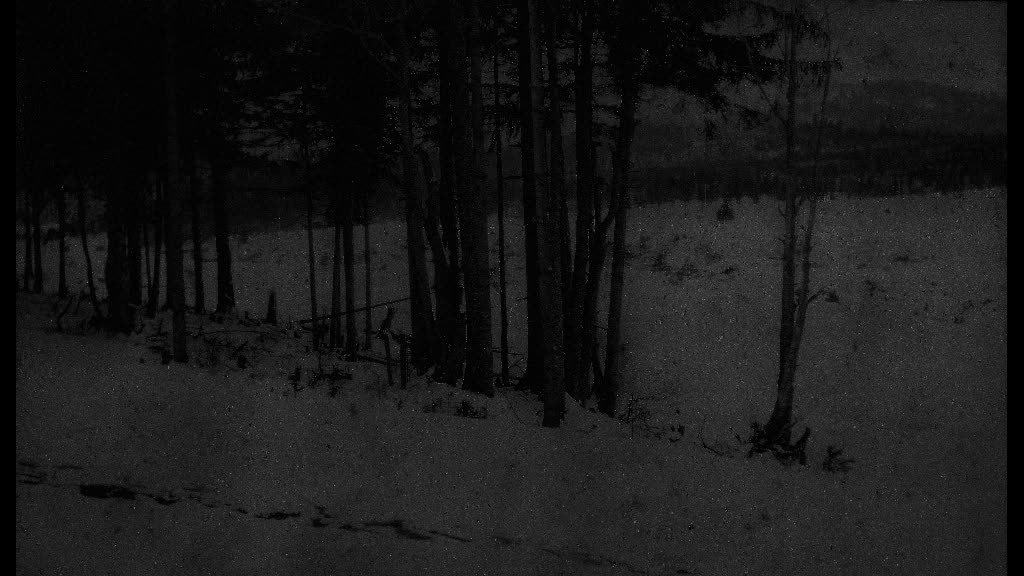 1389 "When Winter Dream Eternity"