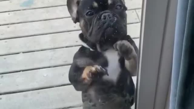 They will let you in
