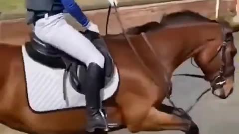 woman riding a horse