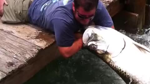 Must watch 😳! He caught a Shark 🦈 with his bare hands.