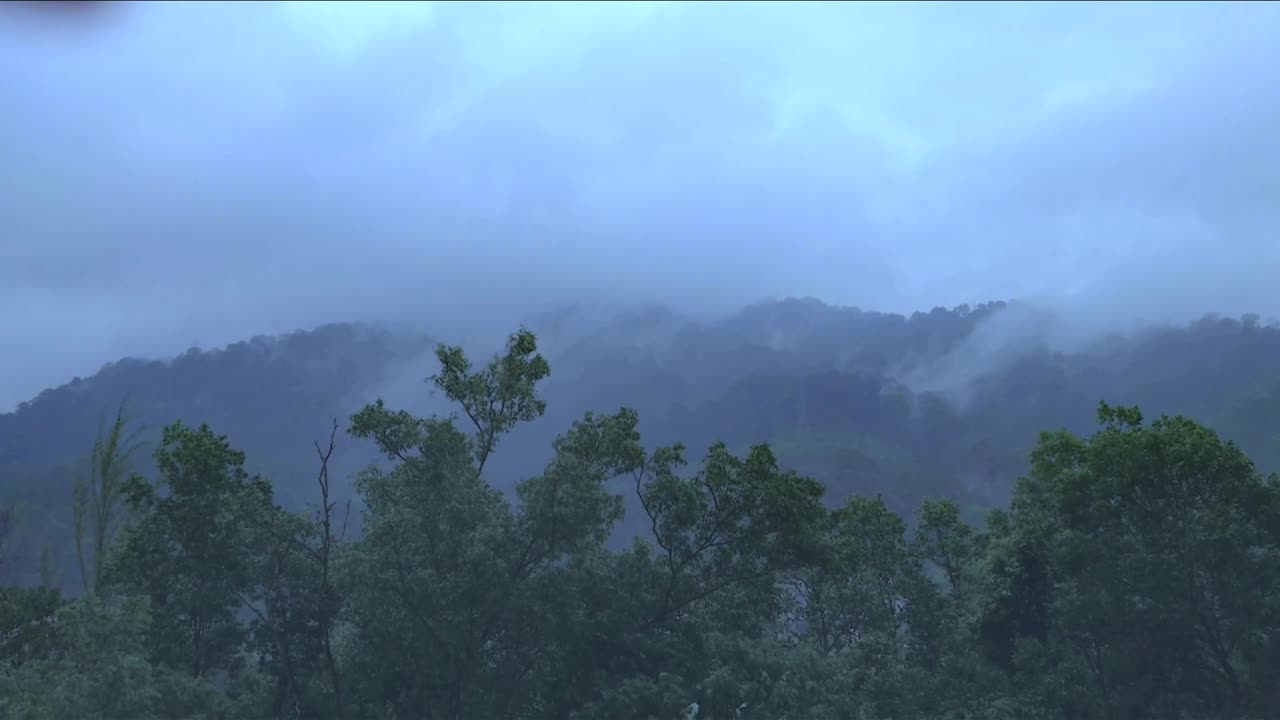 Soothing Rain Sounds for Ultimate Relaxation 🌧️ | Rainy Day Vibes