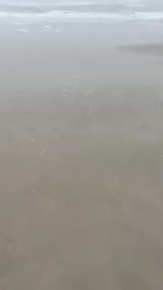 Whiting bite is fired up