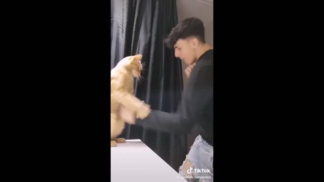 The the Cutest Pets I found on TikTok