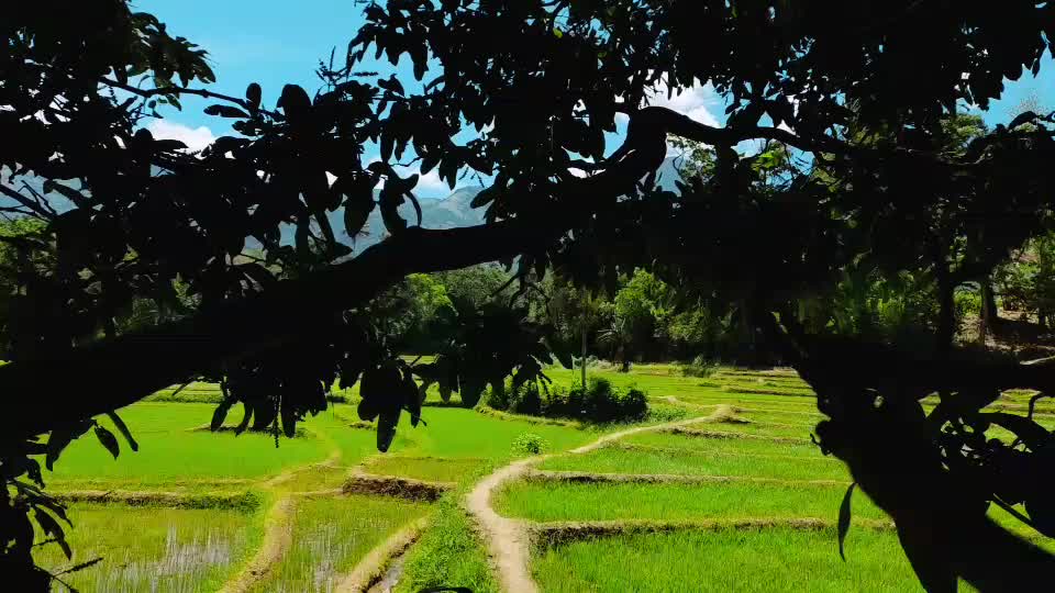 Lovely village & Beauty Nature