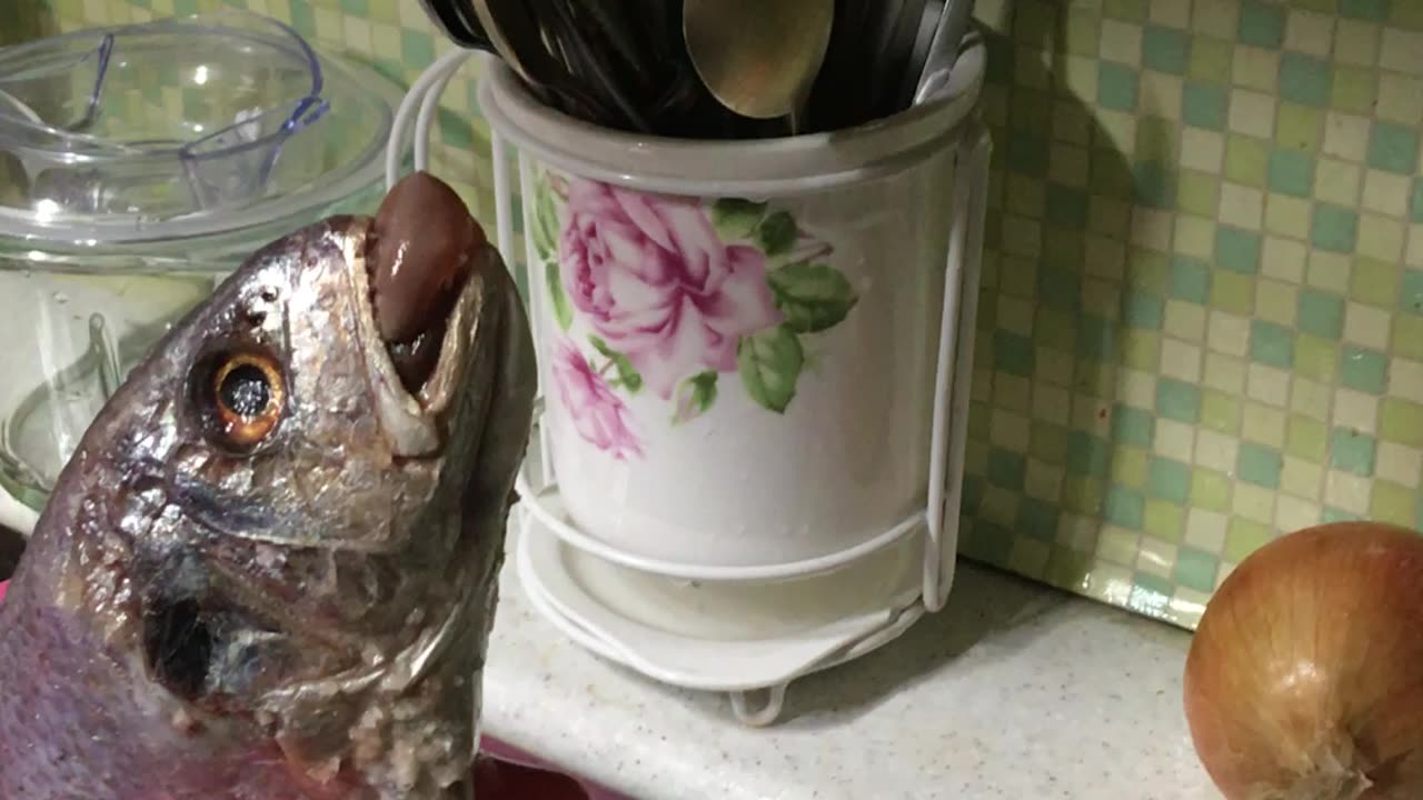Fish