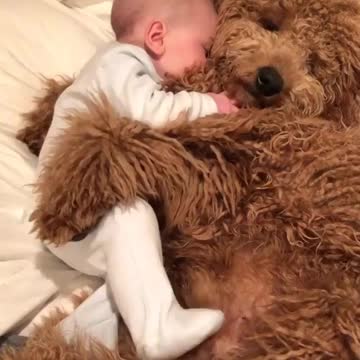 Puppies always give the best pet