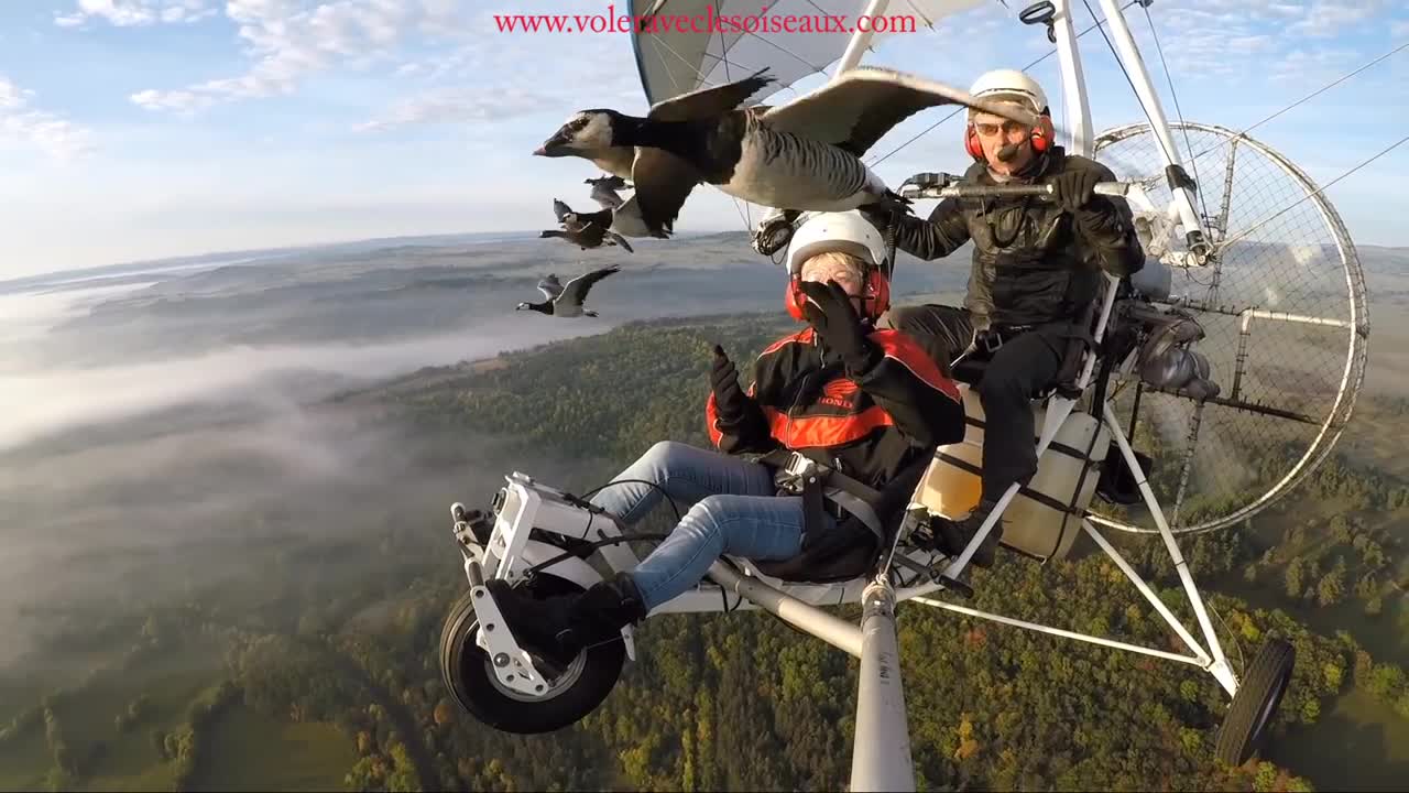 Amazing Flights With Birds Onboard Microlight-Christian Moullec