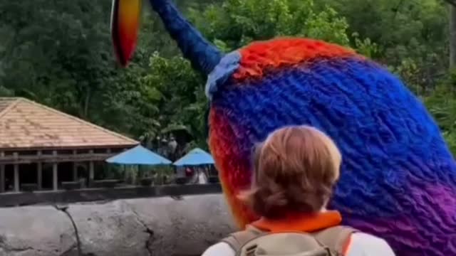 Best Craft